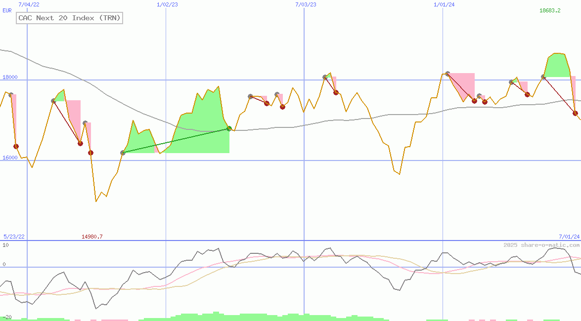 CAC Next 20 Index (TRN)