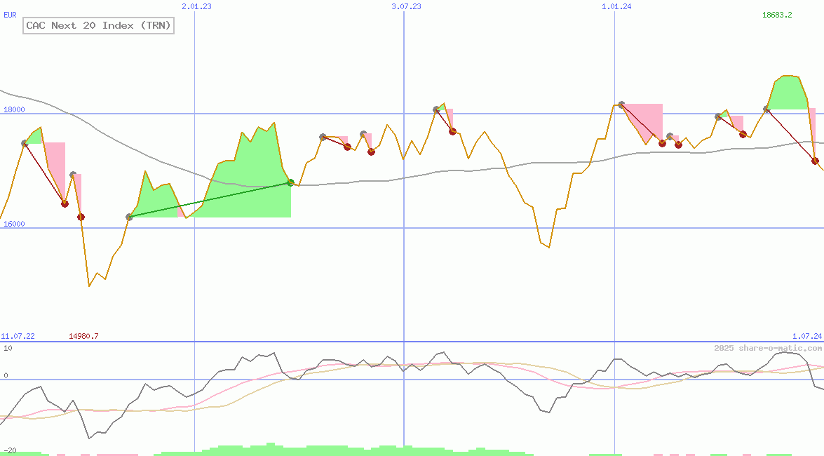 CAC Next 20 Index (TRN)