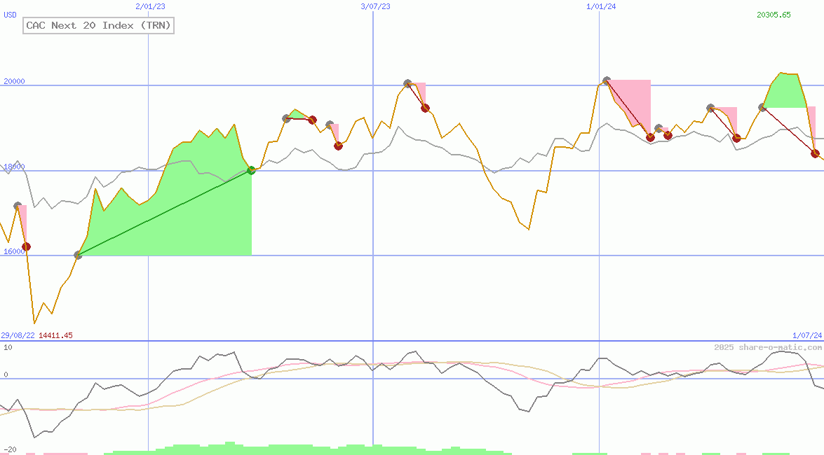 CAC Next 20 Index (TRN)