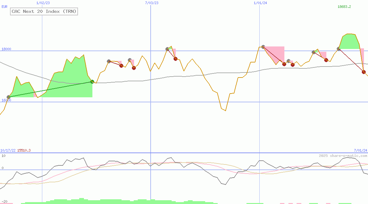 CAC Next 20 Index (TRN)