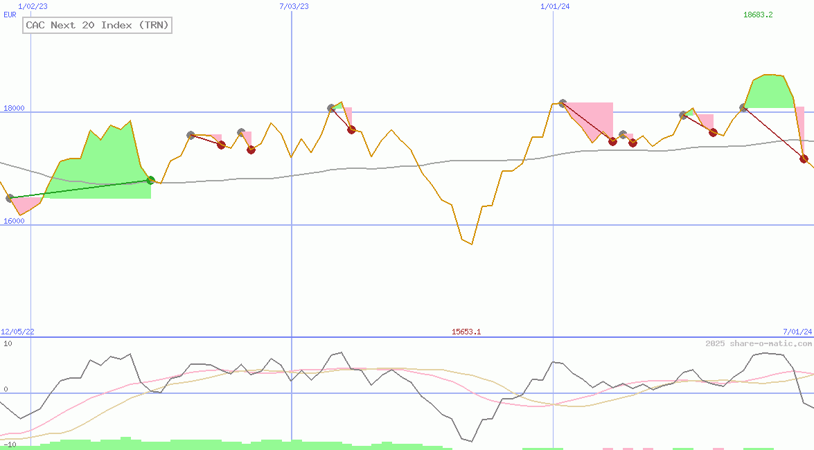 CAC Next 20 Index (TRN)