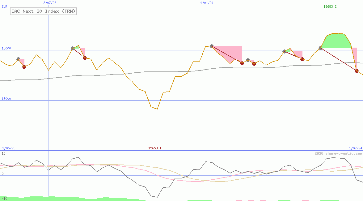 CAC Next 20 Index (TRN)