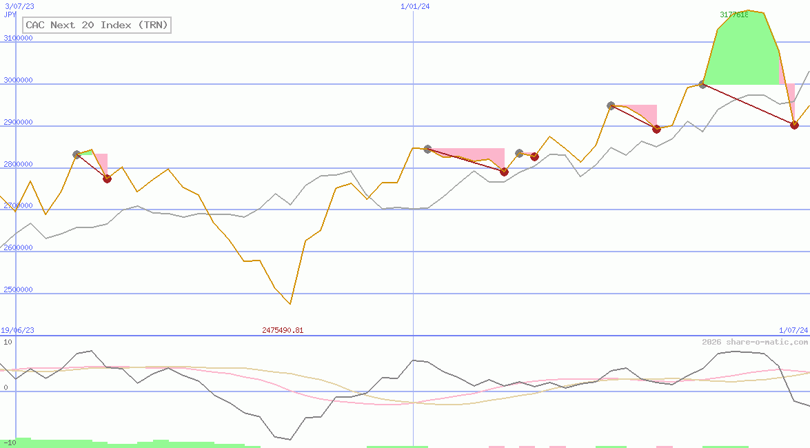 CAC Next 20 Index (TRN)