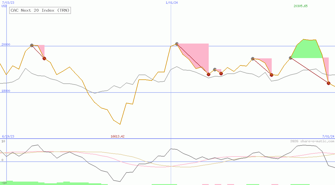 CAC Next 20 Index (TRN)