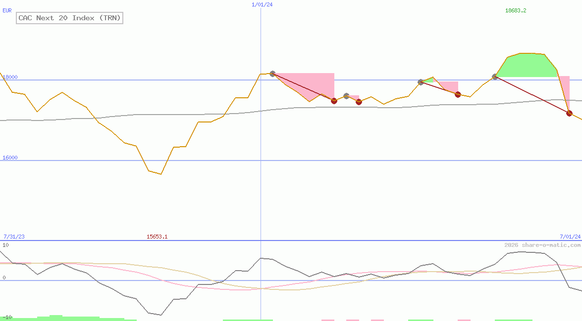 CAC Next 20 Index (TRN)