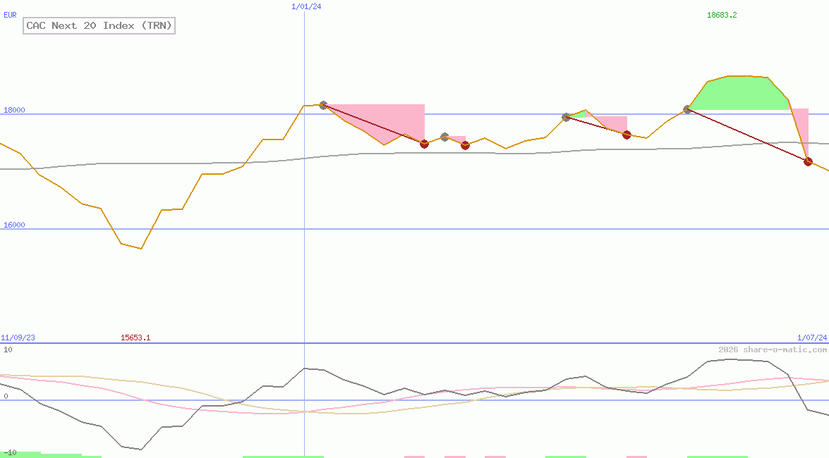 CAC Next 20 Index (TRN)