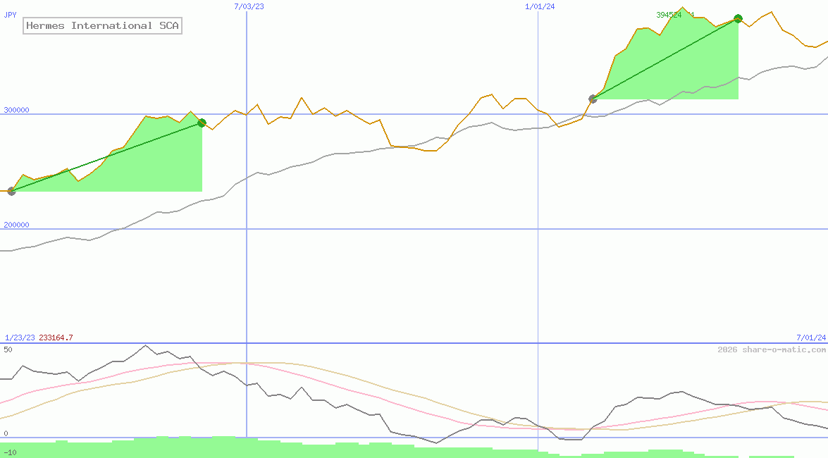 Hermes International SCA